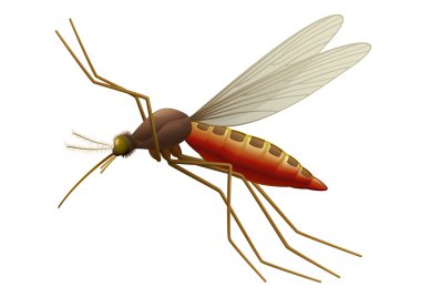 Flying Mosquito clipart