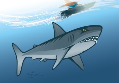 Surfing with shark clipart