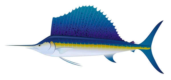 Ατλαντικού sailfish. — Διανυσματικό Αρχείο