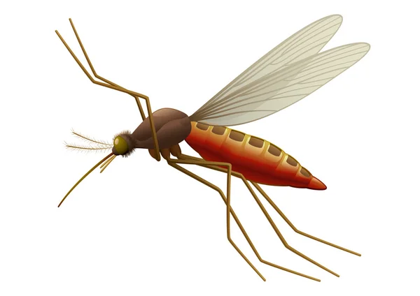 Fliegende Mücke — Stockvektor