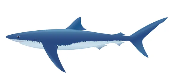 Blue Shark — Stock Vector