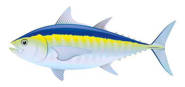 Pez atún — Vector de stock