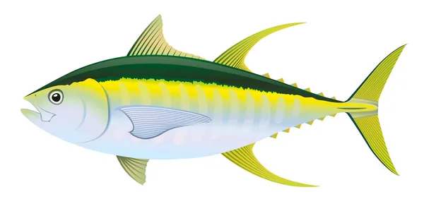 Ikan tuna Yellowfin - Stok Vektor