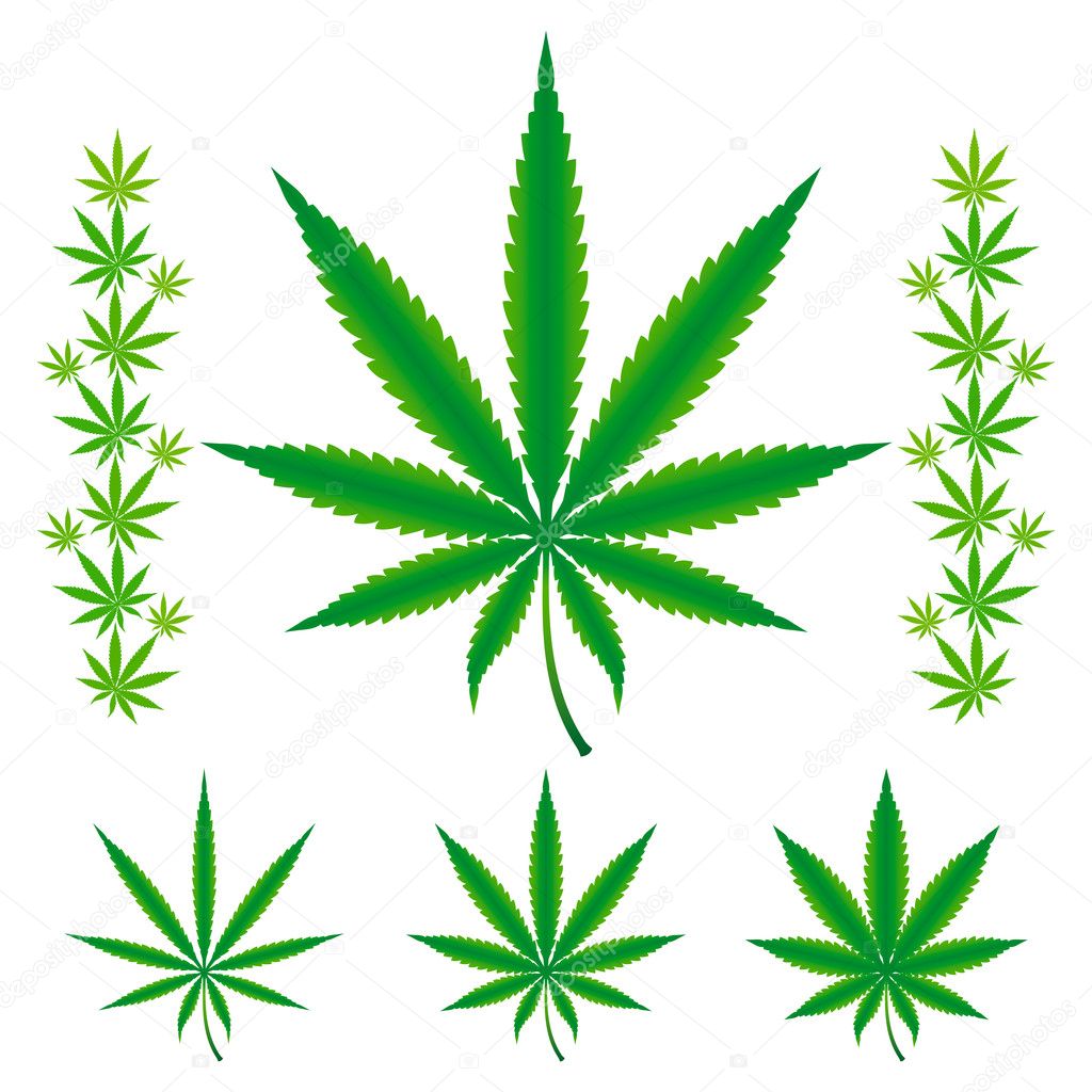 Cannabis leafs - Sativa, Hybrid, Indica.