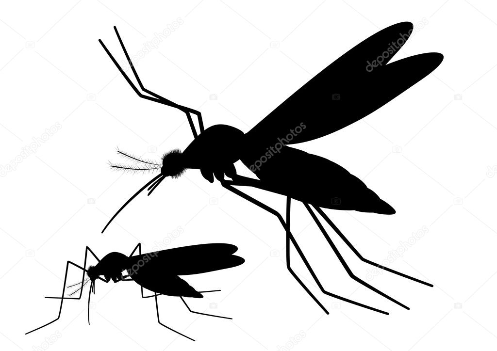 Flying and Sucking Mosquito Silhouette