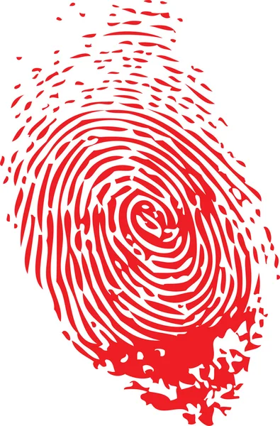 Fingerprint — Stock Vector