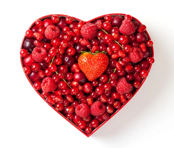 Szív alakú mezőben a piros bogyós gyümölcsök — Stock Fotó