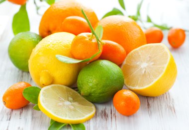 Citrus fresh fruits clipart
