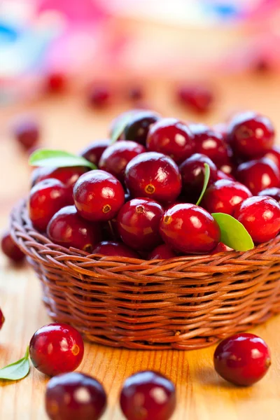 新鲜的红色小红莓 — 图库照片