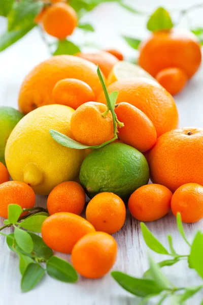 Frutas frescas cítricas —  Fotos de Stock