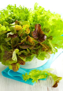 Mixed lettuce in a bowl