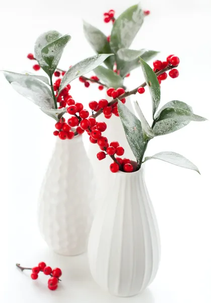 Christmas flower arrangement — Stock Photo, Image