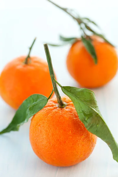 Tangerines — Stock Photo, Image