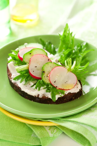 Sandwich mit Weichkäse, Rettich und Gurke — Stockfoto