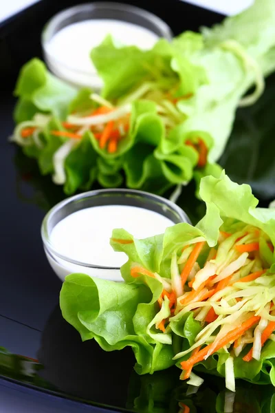 Coleslaw salladsalát zelný salát — Stock fotografie