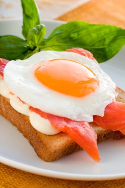 Fried egg with salmon clipart