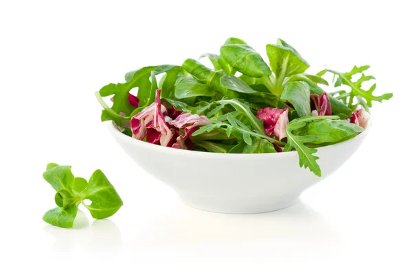 Fresh salad leaves — Stock Photo, Image