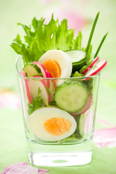 Pepino, rabanete e salada de ovo — Fotografia de Stock