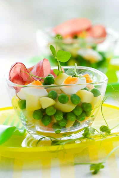 Весенний салат — стоковое фото