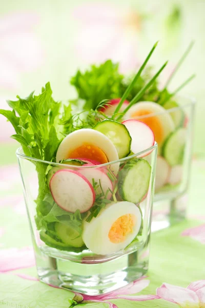 Uborka-, retek- és tojás saláta — Stock Fotó