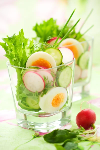 Salát s okurkou, ředkvičky a vejcem — Stock fotografie