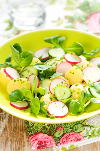 Aardappelsalade met radijs — Stockfoto