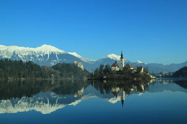 Bled, prachtige kerk eiland — Stockfoto