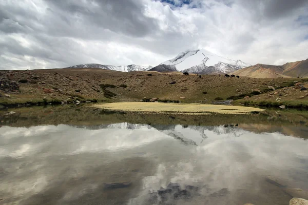 Increíbles lagos del Himalaya a lo largo de Ladahk trek Imagen De Stock