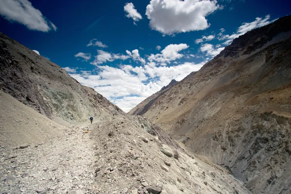 Trekking in India Leh, Marhka Valley trip Royalty Free Stock Images