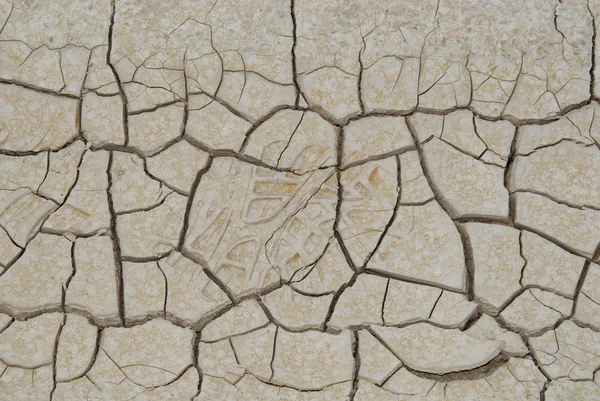 stock image Dried clay texture