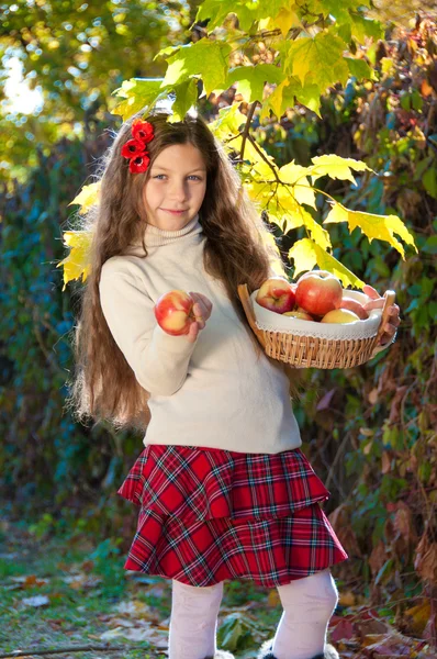 Mooie langharige brunette meisje met rode papavers in haar haar en een Baskische — Stockfoto