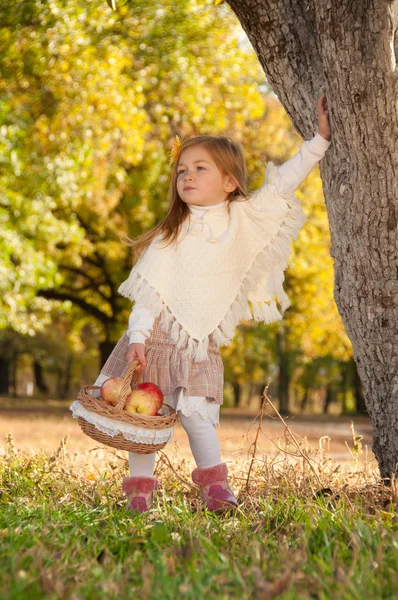 Маленькая девочка идет к корзине яблок — стоковое фото