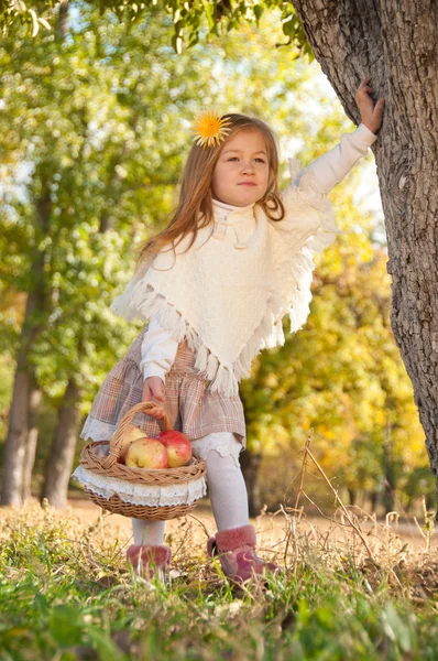 En liten flicka går till korg med äpplen — Stockfoto