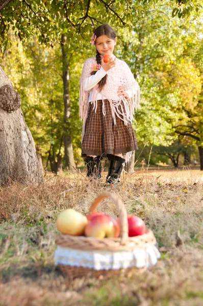 Menina morena de cabelos longos bonita com papoulas vermelhas em seu cabelo e um bask — Fotografia de Stock