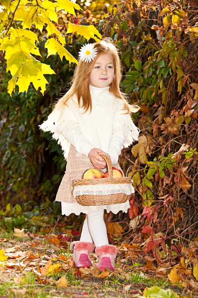 Uma menina vai para o cesto de maçãs — Fotografia de Stock