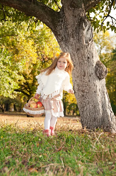 En liten flicka går till korg med äpplen — Stockfoto