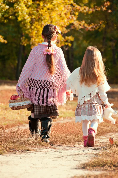 Twee mooie, jonge zus zijn op de weg. — Stockfoto