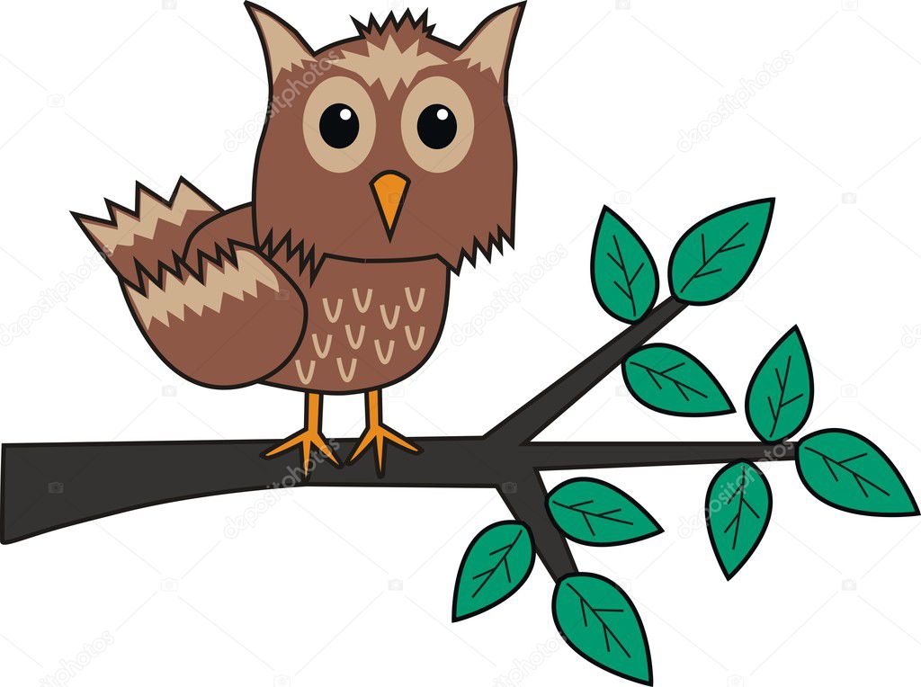 Brown owl branch tree