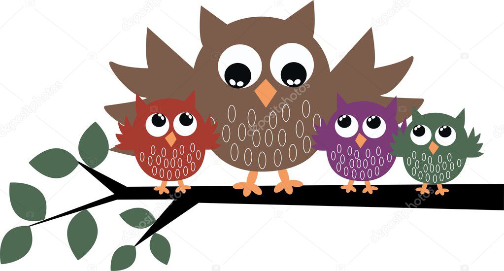 A cute little owl family