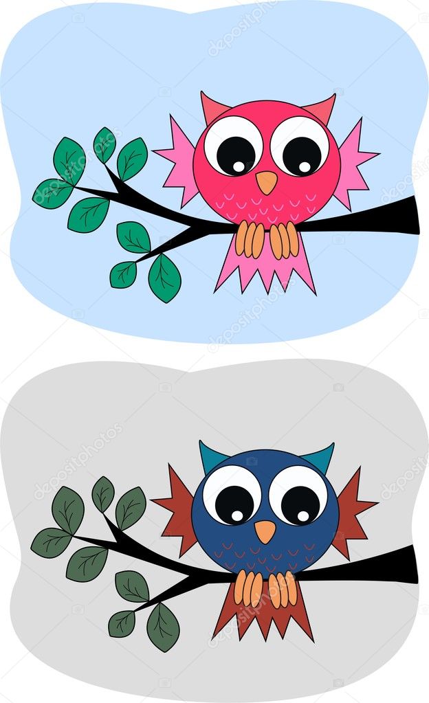 Owls branch colour