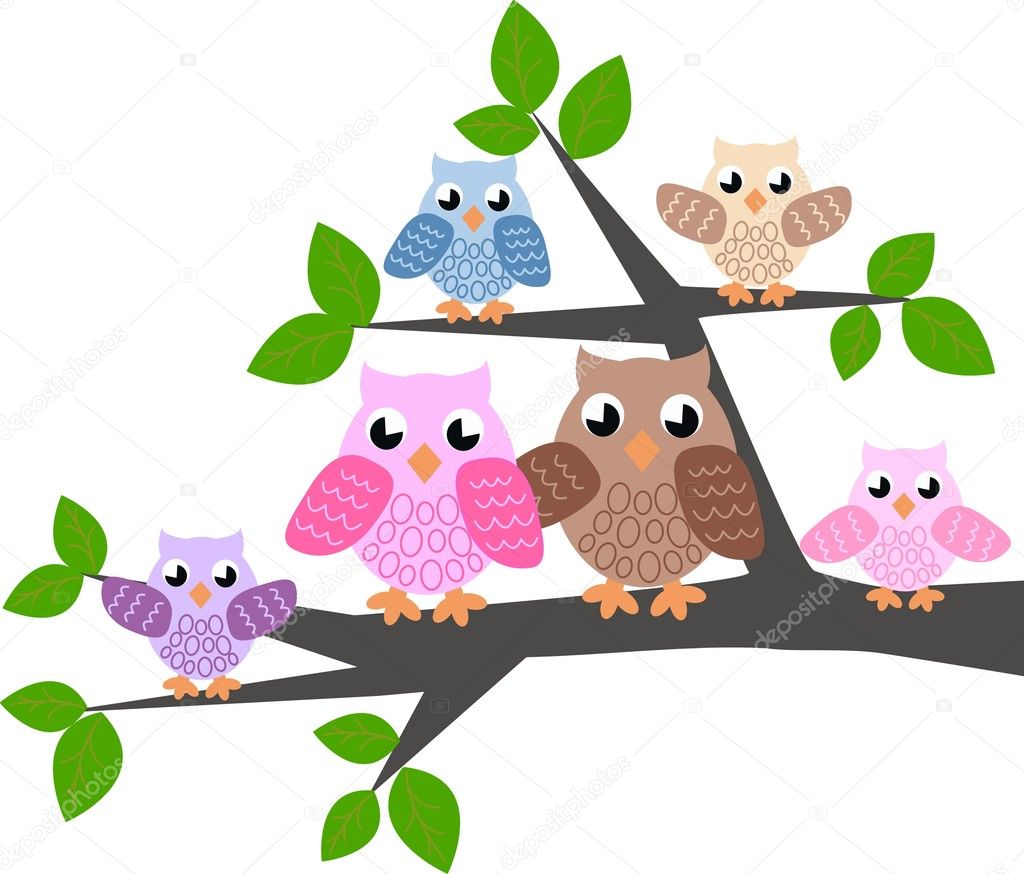 Colorful owl family