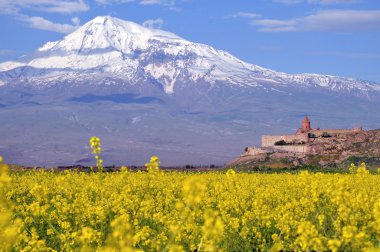 Ararat in Armenia clipart