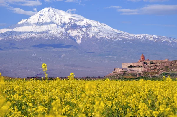 在亚美尼亚的亚拉腊 免版税图库图片