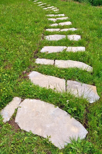 Path in the Grass — Stock Photo, Image