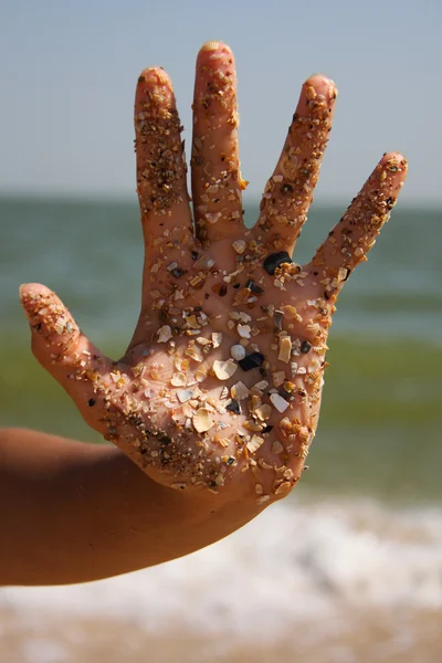 Hand in shells — Stok fotoğraf