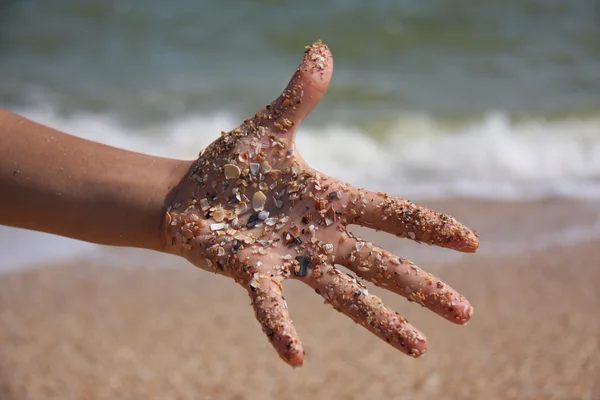 Mão em conchas — Fotografia de Stock