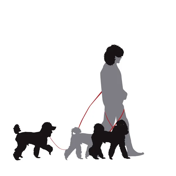 犬の散歩 — ストックベクタ
