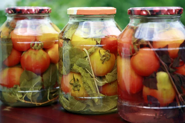 Tomates caseros —  Fotos de Stock