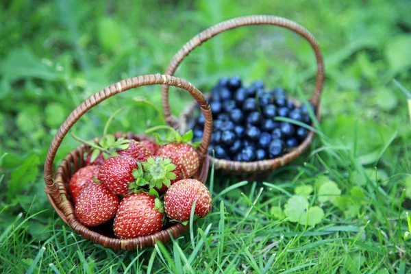Strawberries and blueberries on the green grass — Stock Photo, Image
