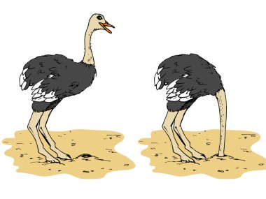 Cartoon ostrich with head below sand clipart